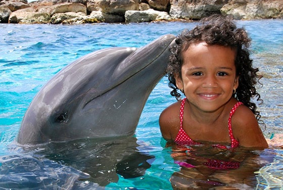 dolphin kissing the head of a little girl at the Sea Aquarium