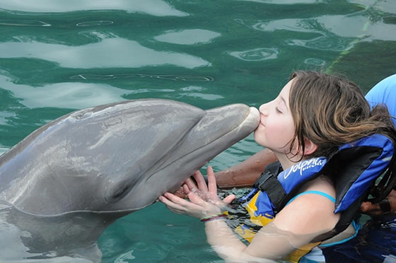 girl kissing dolphin in Dolphin Discovery Facility, Tortola
