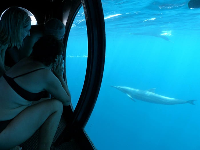 2 women and a man looking at a dolphin through a semi-submerged trimaran