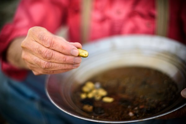 man panning for gold nuggets in famous gold creek