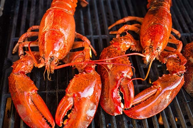 two lobsters from st kitts being cooked on a grill