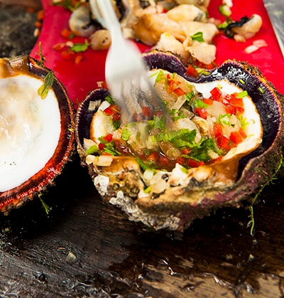 conch ceviche served in a conch shell