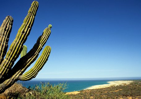 Top 10 Things to Do in Ensenada