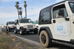 Top 10 Things to Do in Ensenada Carnival Cruise Line
