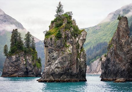 6 Best Alaska Cruise Tips for Travelers