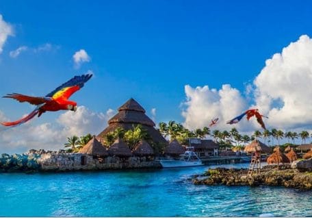 Top 10 Cozumel Shore Excursions You Have to Experience