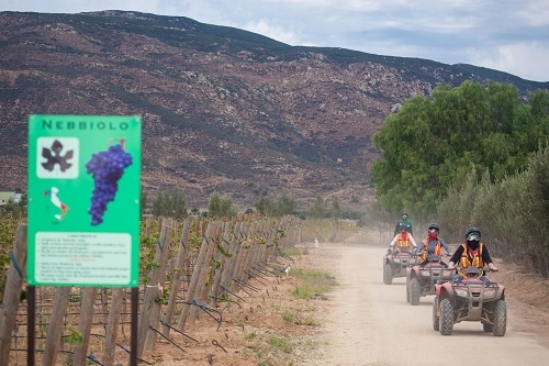 guests driving an atv as they tour the mexican wine country