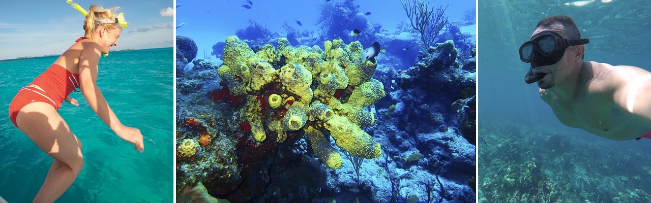 top 10 benefits of snorkeling