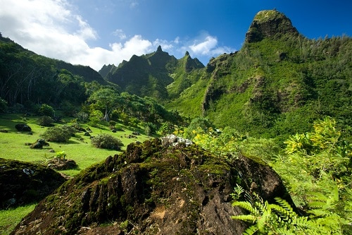 a green forest with mountains deep in kauai