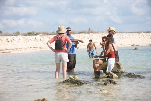 a group of people enjoying a shore excursion on the beach