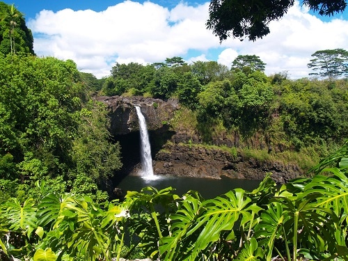 a small waterfall in a forest in hawaii
