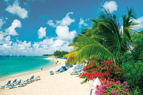 palm trees and pristine beaches in grand turk