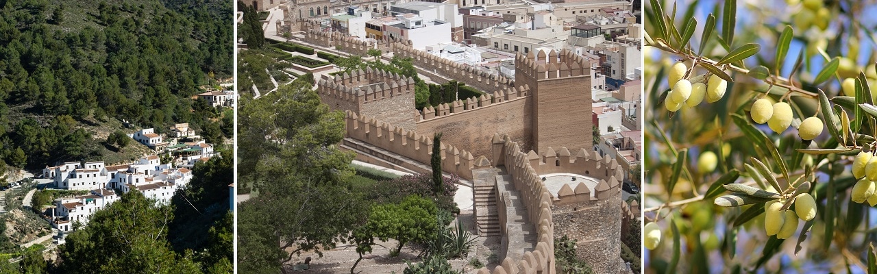 top 9 things to do in malaga