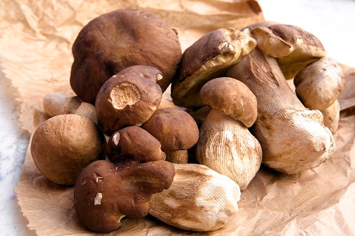 a pile of porcini mushrooms on brown paper
