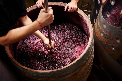wine makers stirring smashed grapes to make the wine