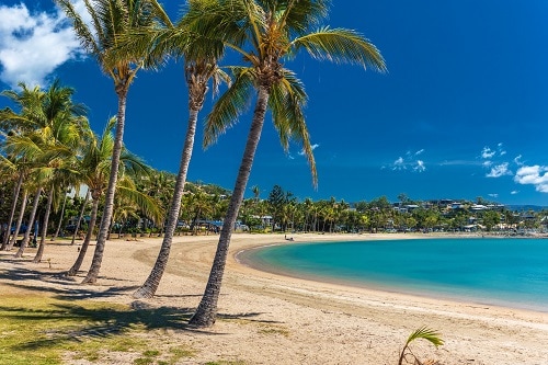 a sunny day in airlie beach with palm trees