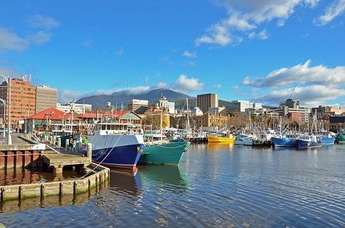 boats lined out at the harbour in hobart, australia