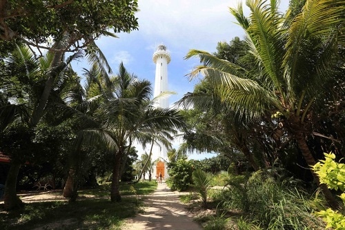 lighthouse surrounded by trees in noumea