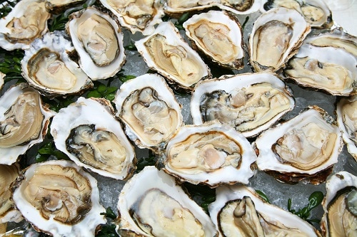 oysters on a platter
