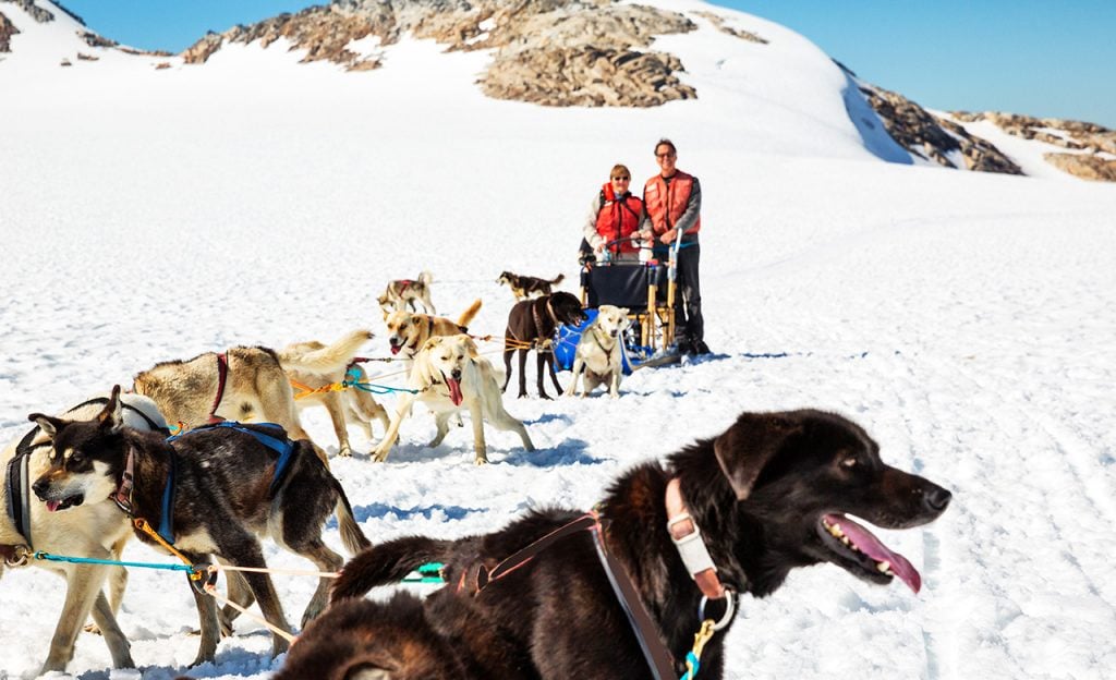 Man and woman with a team of sled dogs in Alaska