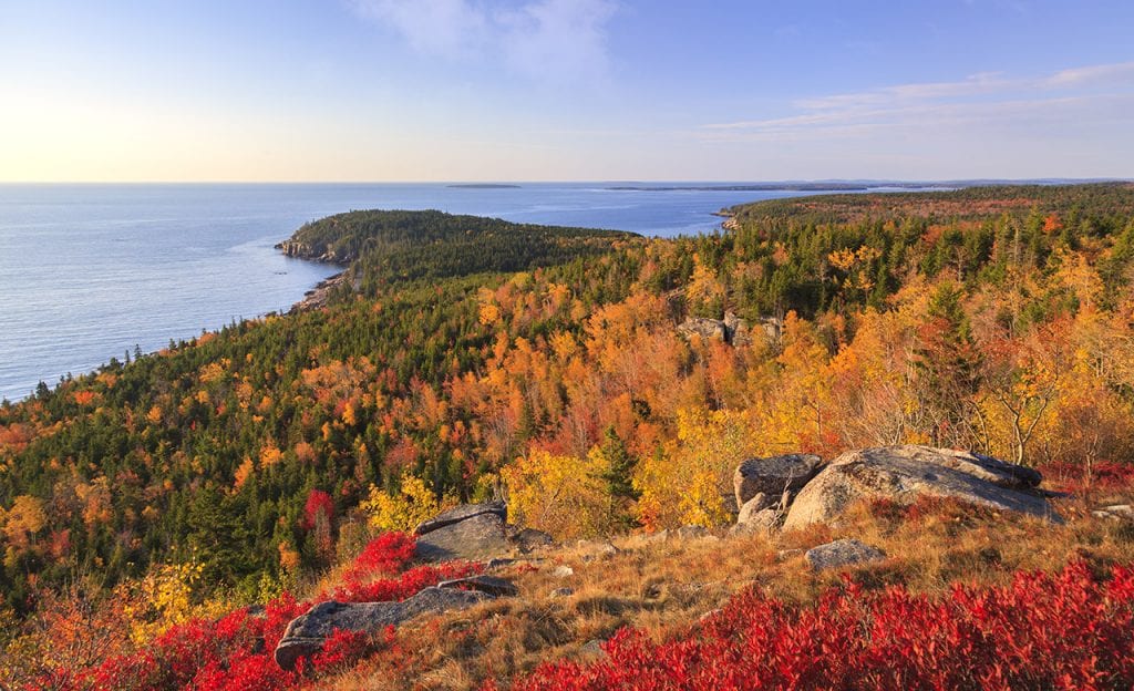 cruise to see fall foliage