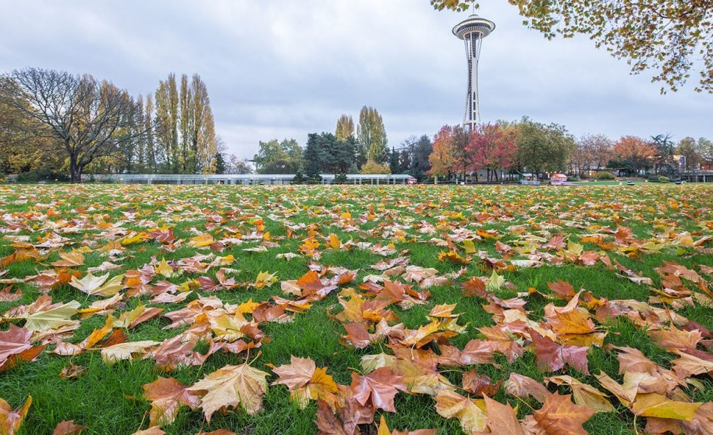 cruise to see fall foliage