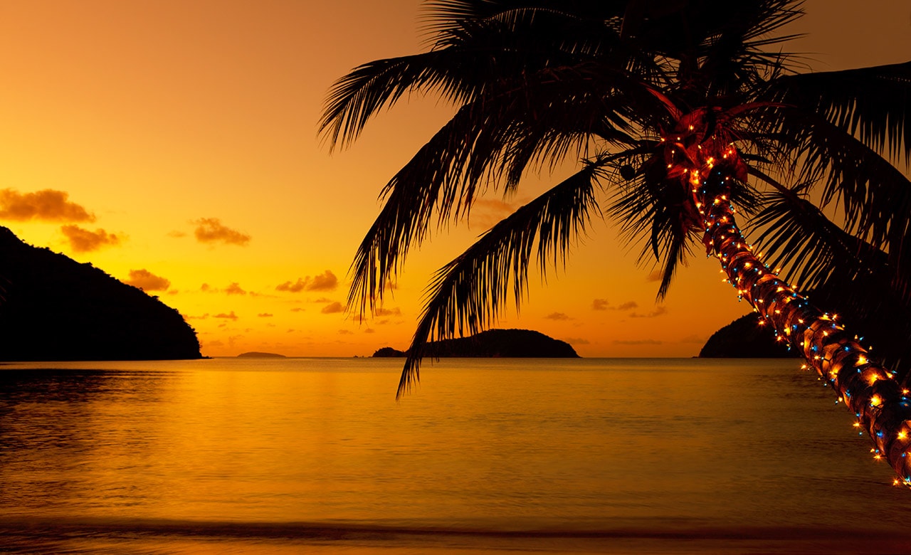 Christmas lights on a palm tree at the Caribbean beach at sunset - Christmas in the Caribbean