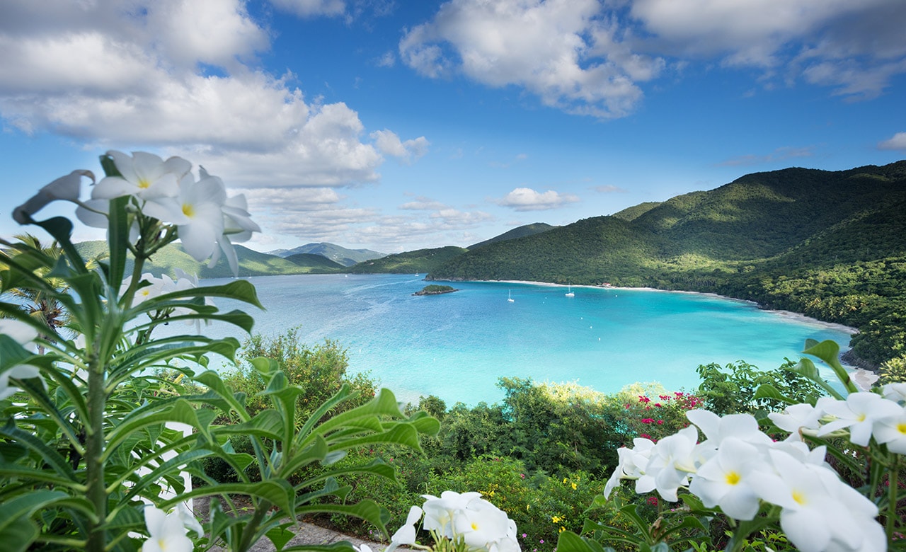 Cinnamon Bay and it's pristine unspoiled beach on the island of St. John in the United States Virgin Islands.