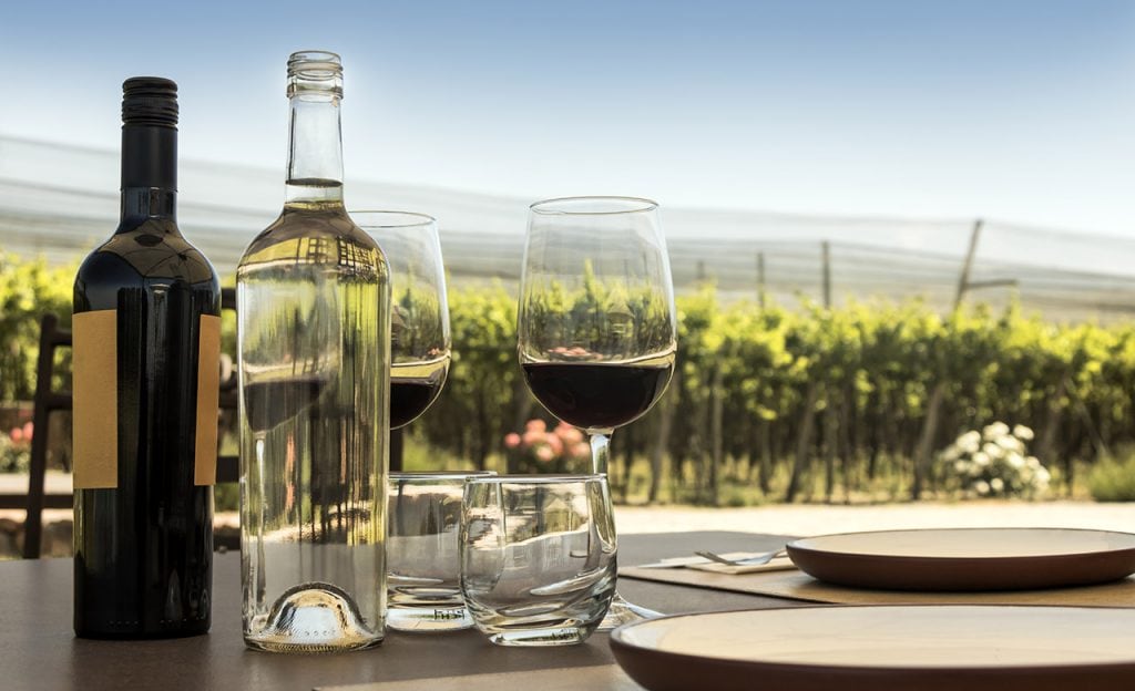 red and white wine with glasses at a vineyard 
