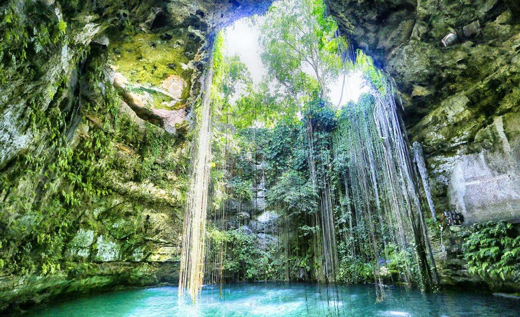 View upwards from a cenote in Mexico
