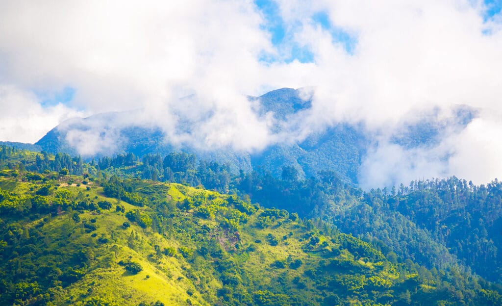 The Blue Mountains in Jamaica covered with clouds. 