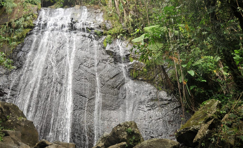 La Coca Falls in El Yunque rainforest. 