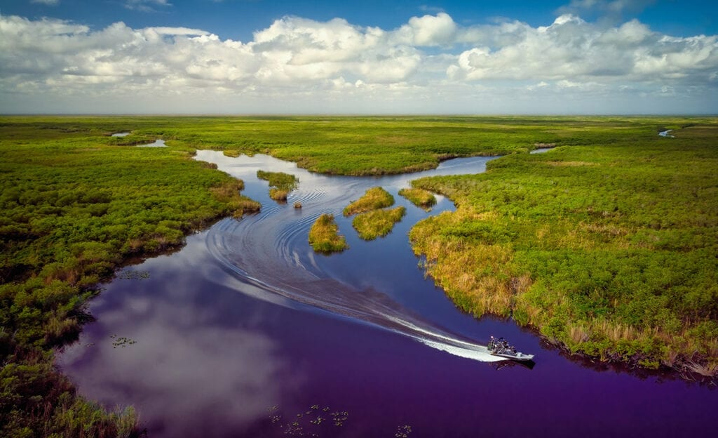 Aerial view of Florida Everglades