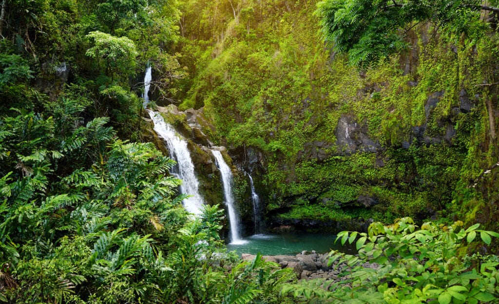 Waterfall landscape of the Upper Waikani Falls