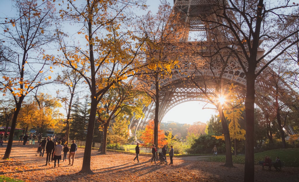 Paris' Eiffel Tower surrounded by fall leaves