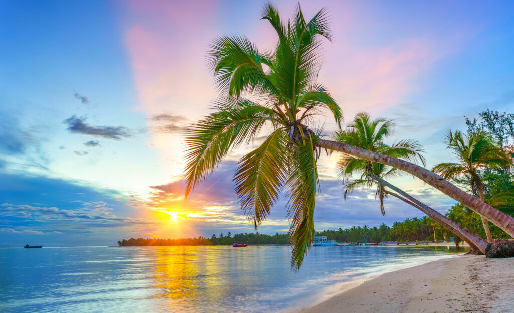Beautiful sunrise over tropical Caribbean beach and palm trees.