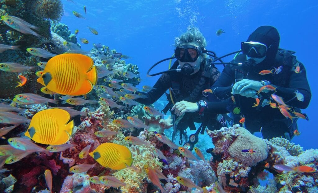 Two scuba divers among coral in the Great Barrier Reef.