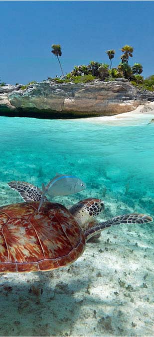 Popular Cruise Destinations