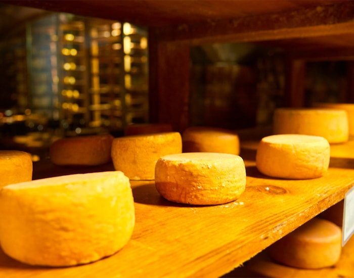 The Cheese Maker of the Valley: La Cava de Marcelo - Ensenada, Mexico ...