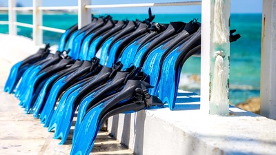 NAS | Shore Excursions | Carnival Cruise Line