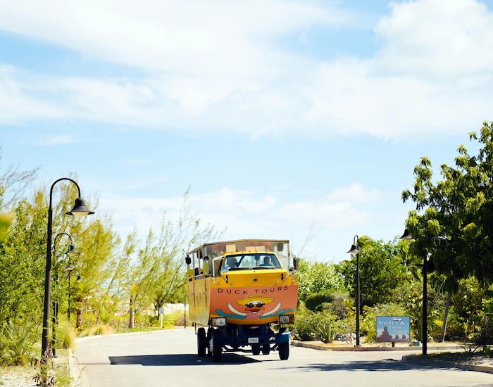 Duck Boat Adventure - GDT Shore Excursions | Carnival Cruise Line