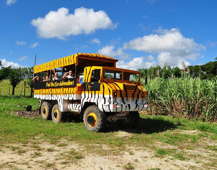 Mega Truck Country Ride & Culture with Lunch - DOP Shore Excursions ...