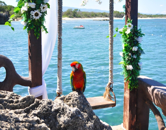 Cayo Arena Catamaran and Fricolandia DOP Shore Excursions Carnival