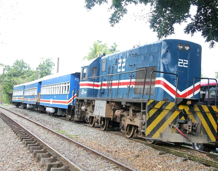Limone Train Train Jungle Views & Limon Sightseeing - LMO Shore Excursions ...