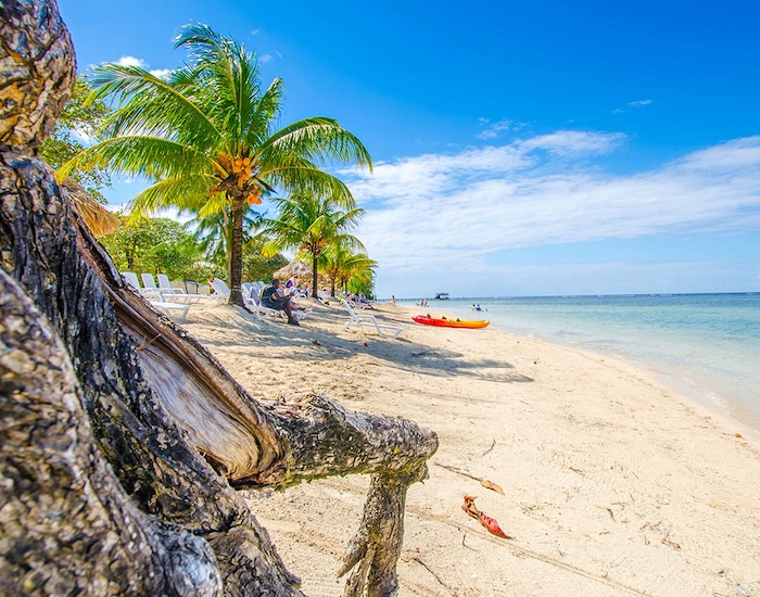 Islas Rhodatan Explore Roatan - Private Group Tour - Isla Tropicale, Roatan Shore ...