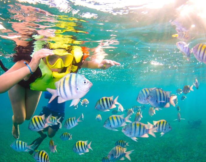 Kayaking Roatan All Inclusive Kayak & Snorkel - Isla Tropicale, Roatan Shore Excursions ...