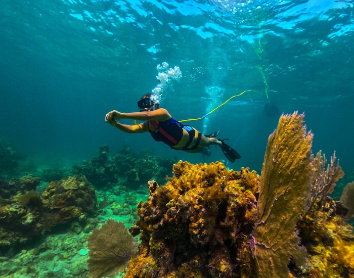 Snuba Roatan Snuba by Boat, Beach & Lunch - Isla Tropicale, Roatan Shore Excursions ...