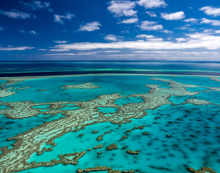 The Great Barrier Reef - WSY Shore Excursions | Carnival Cruise Line