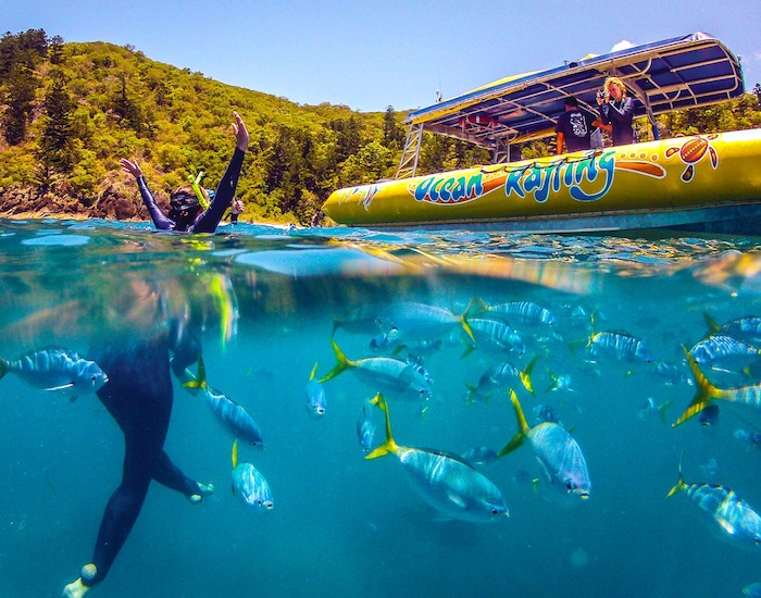 Shore Raft Ocean Rafting - Airlie Beach, Australia Shore Excursions | Carnival ...