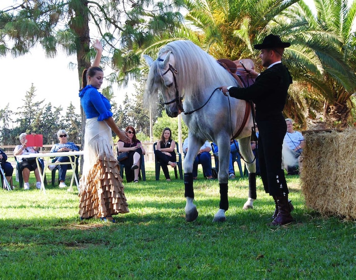 Spanish Horse Ranch & Show - Cartagena, Spain Shore Excursions ...